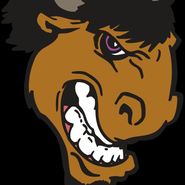 AR BUFFALO 13 RC Thumbnail