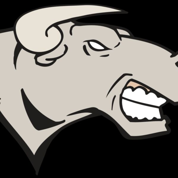 AR BULL 18 RC Thumbnail