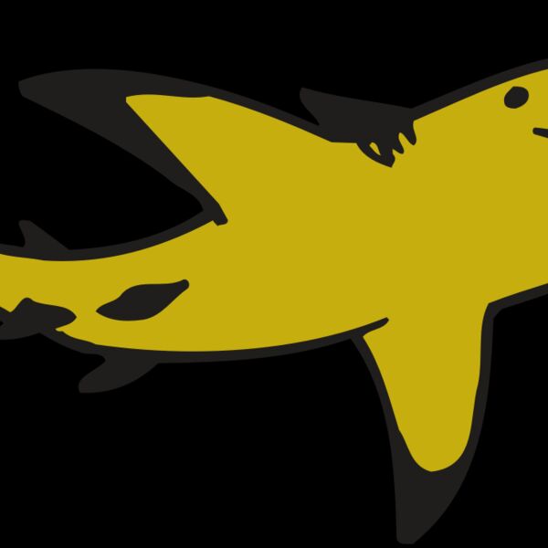 AR  SHARK 32 RC Thumbnail