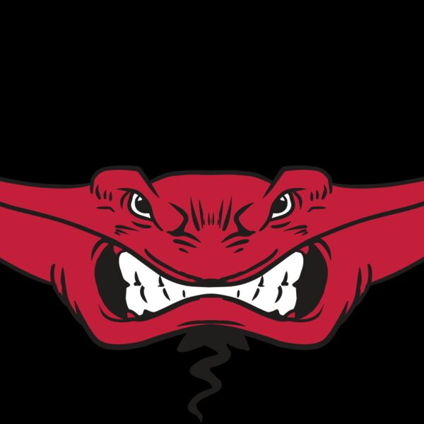 AR19 STINGRAY 03 RQC Thumbnail